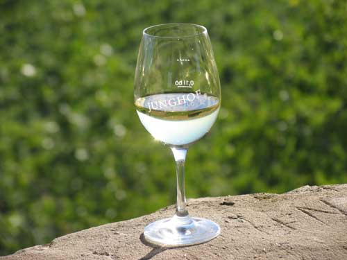 Weinglas mit Reben im Hintergrund